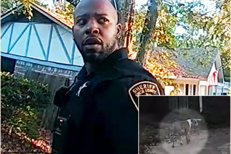 Cops Discover Babysitter Being Eaten Alive in Backyard