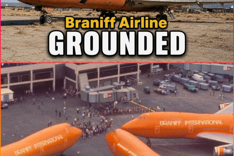 From America’s Boldest Airline to Silence – The Fall of Braniff International