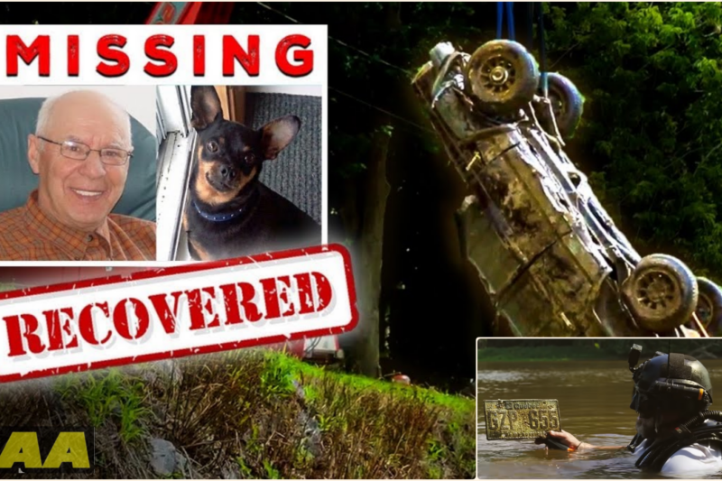 SOLVED: Missing 11-years Underwater (Yvon Guévin and His Dog Caustad)