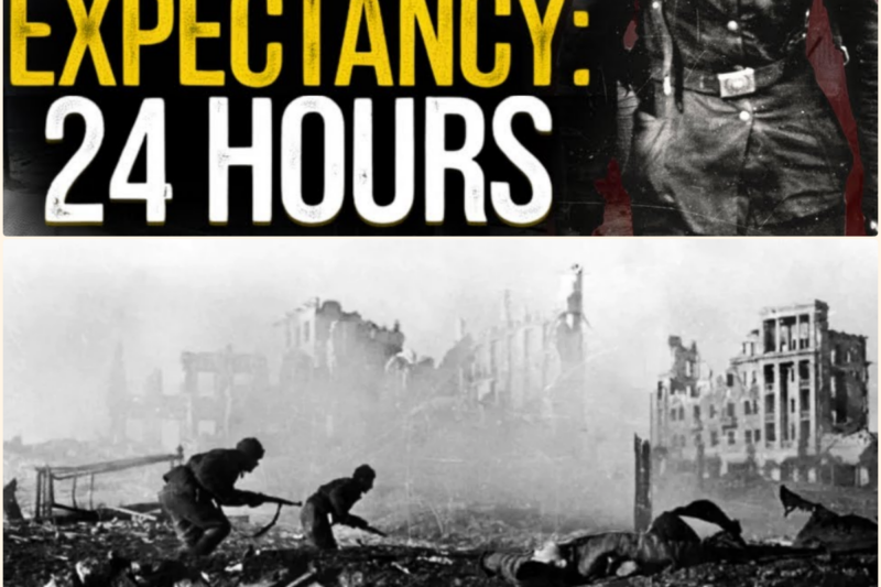 The Battle of Stalingrad Was Pure HORROR